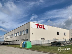 對話王成 TCL如何在2020年躋身歐洲前三，國內(nèi)貿(mào)易代理又扮演何種角色？